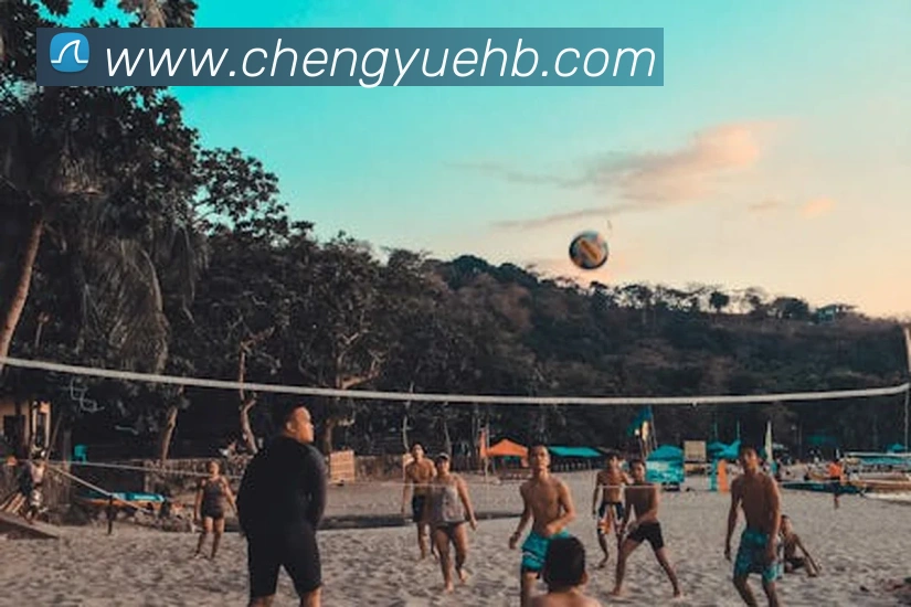 开云手机在线登录界面发展历程